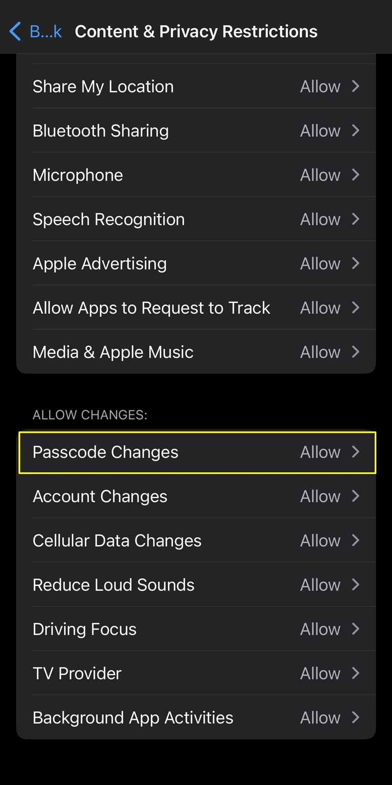 protect iphone passcode changes